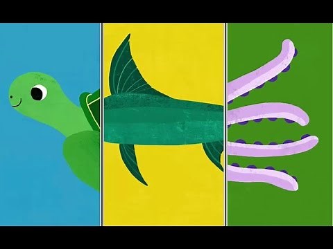 Animal Match Up | Baby Learn Sea Animals | Funny Animals Game For Kids