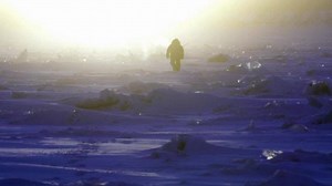 180K views · 221 shares | Here's a sneak peek at the new season of Yukon Men! | Yukon Men | Facebook