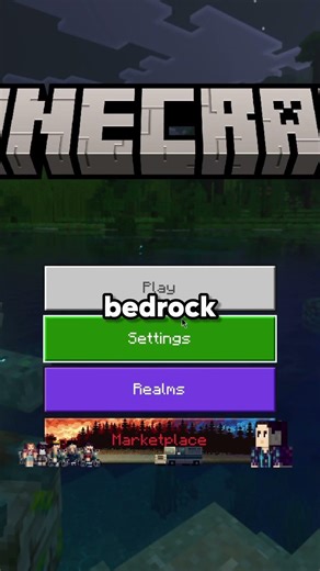 TONS of people are asking to join the VIRAL Minecraft EartrhSMP! #minecraft #earthsmp #smp #mc