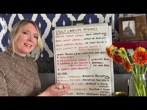 Strict liability summary