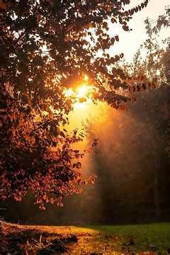 Restoration—Joseph Smith’s first vision