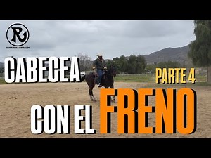 How to Fix a Bobbing Horse with the Charro Bit. PART 4. RNG System.