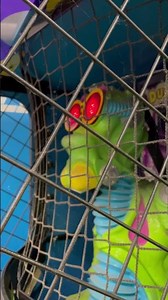 Dunk-N Alien Skee Ball Animatronic #skeeball #alien #aliens #nostalgia #animatronic #robot #robotics