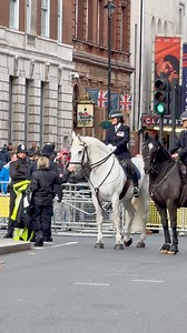 Met Police officer saying goodbye to her horse after her shift #london #police #horses #fbreels #reelsviral #history | This is London channel