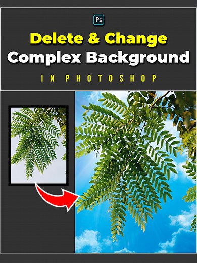 Mastering Complex Background Removal in Adobe Photoshop