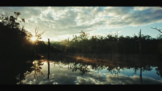 A few days ago I mentioned I had local legend Sean Hsu from Ovis Creative on tour, along with his partner Martin and their Dutch mate Toska. Sean had the camera out all day, quietly lurking in the bushes and ambushing moments like a friendly wildlife paparazzo. I figured he was grabbing a few happy snaps to show the crew later. Turns out… he was secretly crafting a pro-level cinematic masterpiece. Honestly, I’m always blown away by how creative people see the world — and Sean’s capture of the MR