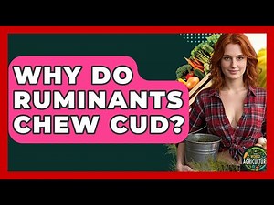 Why Do Ruminants Chew Cud? - The World of Agriculture