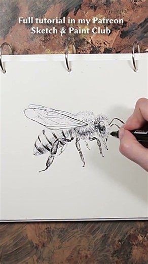 How to Draw a Bee Step by Step 🐝 Easy Drawing Tutorial