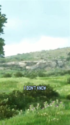 4.3K views · 49 reactions | What will happen if I fire an explosive bullet?樂 If you liked the content, follow me❤️ #rdr2 #rockstargames #reddeadredemption #arthurmorgan #redbull #gamingreels #redbull #rdr #Gaming #time #PS5 #ps4pro | RedDead Redemptio | Facebook