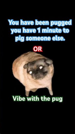 Timer starts now⏳⏰