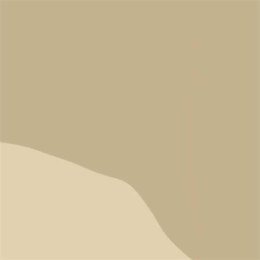 Time lapse video on procreate