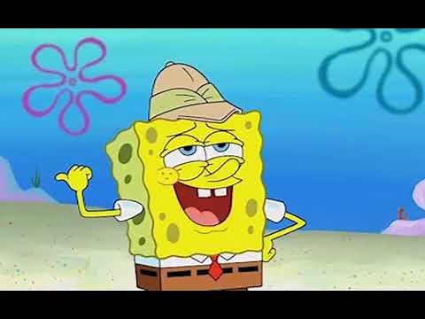Sponge Your Enthusiasm