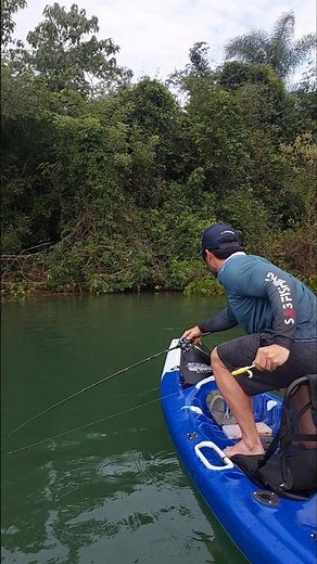 Bow and Arrow Cast - Aremesso Arco e Flecha 🎯 #pesca #fishing