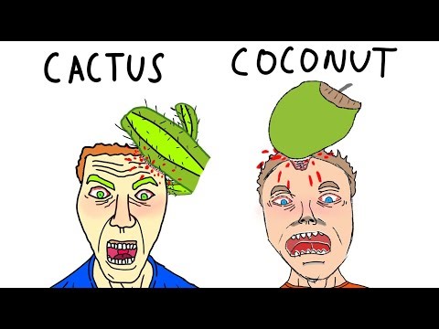 The Dumbest Ways People Have Died