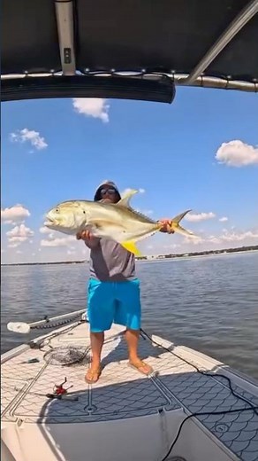Mini Rod, Mega Catch🤯 - Ugly Stik Dock Runner #uglystik #fishing #minirod #saltwaterfishing