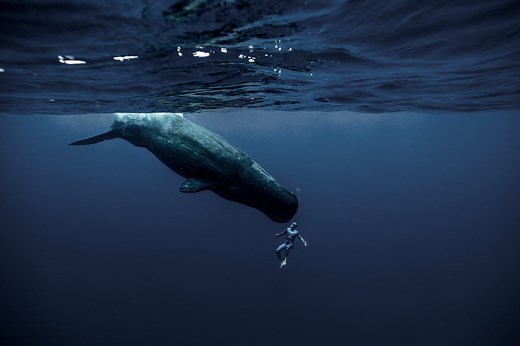 One Breath Around The World