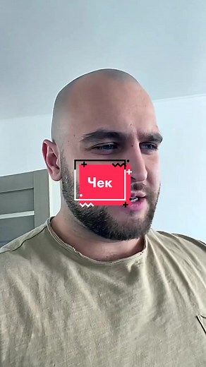 Energetic Cat Playing and Interacting with Live Audience