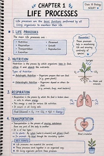 Class 10 Biology Chapter 1 – Life Processes | Handwritten Notes ✍️🧬