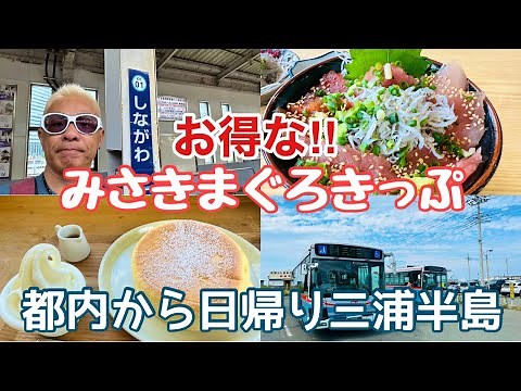 [Absolutely great value!!] Eat Misaki tuna on a day trip to the Miura Peninsula from Tokyo with t...