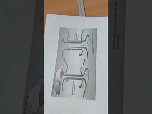 Geography Grade 12 September 2023 Paper 1 Revison (Section A :Climate and Weather)