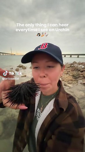 And they are all named Ivan 🤙🏼Ball knowledge if you know this movie! *no sea urchins were broke in the making of this video*✨ #marinebiology #ocean #surfsup #seaurchin #tidepool
