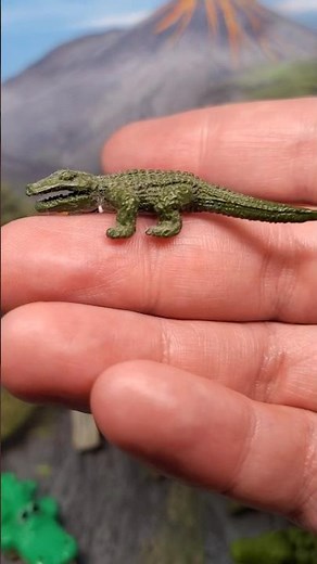 Cocodrilos 🐊 🐊 🐊 🐊 ¿Cuál es el tuyo? #cocodrilo #juguetes #toys #crocodile