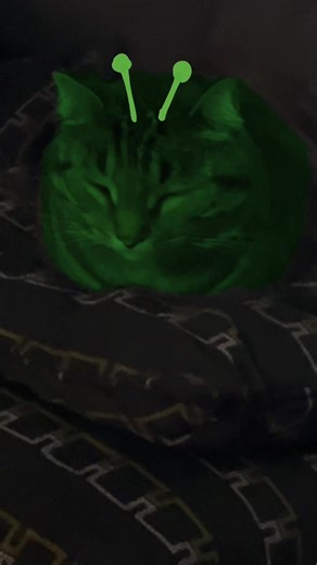 Transforming into an Alien Cat