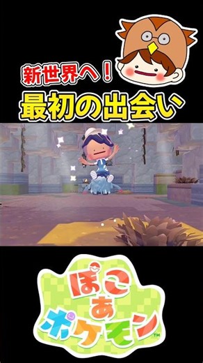 [Pokopoke] The adventure begins *Spoiler alert* [Poko a Pokemon] #Pokopoke #PokoaPokemon #HooPapa