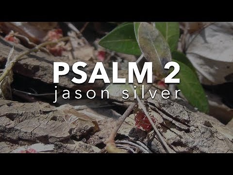 🎤 Psalm 2 Song - Refuge in Him - Scripture Song