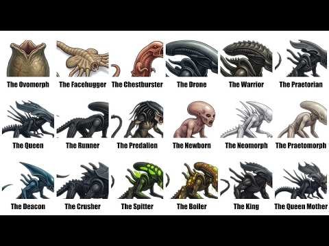 Every Xenomorph Variant Explained