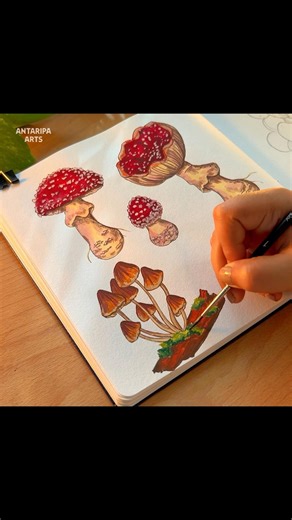 Paint some Mushrooms using Himi Gouache #gouache #mushroom #painting #drawing