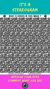 24K views · 105 reactions | What's hidden ? 殺 #opticalillusion #stereogram #art #quiz #asmr | Thorsten Schmitt Design | Facebook