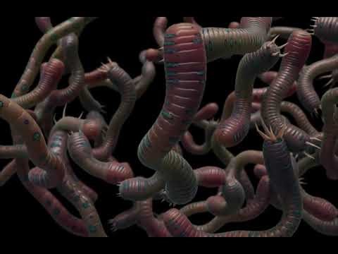 Worms - Geometry Nodes