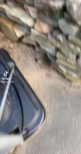 How to Use a Metal Trap for Small Animals