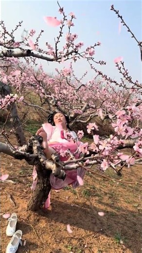 Peach Blossom Paradise: A Journey Through 10 Miles of Blossoms