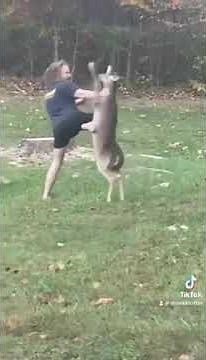 Man vs deer! Fight!!! Not my deer.