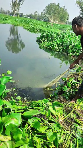 6.2K views · 43 reactions | Most New Fishing Video #fishing | The Fishermen 71 | Facebook