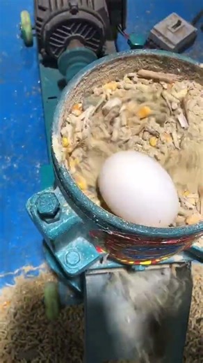 #fcnfm How to Produce Small Feed Pellets for Chick and Fry Using FCNFM Mills