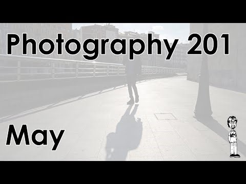 Photography 201: Contre-jour Photography