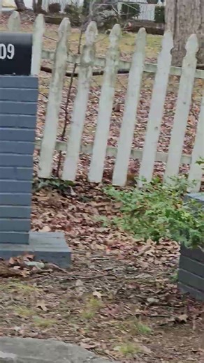 honda Motocompacto - you want one #rfromcolo #randomonium #honda #motocompacto #scooter #awesome