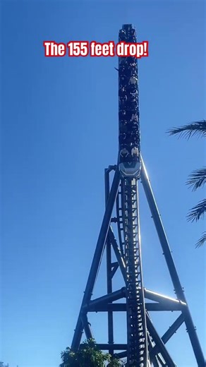 Islands of Adventure - VelociCoaster, the 155 drop, would you ride? #coaster #rollercoaster