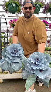 18K views · 596 reactions | The Barn Nursery is overflowing with fall...