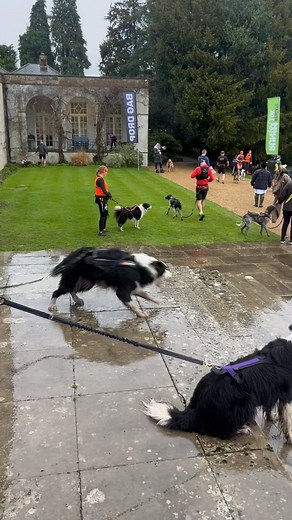 Sophie Raworth on Instagram: "Our first Canicross race! 10km @runseries_ Reigate. We both got covered in mud and we both got medals 😂 🥇 🥇"