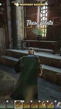 Lunar New Year Plants locations Fort Kelvin | Enshrouded #walkthrough #gaming #enshrouded