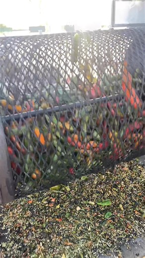 Come by & grab some fresh hot roasted Chiles ! | Crooked Sky Farms