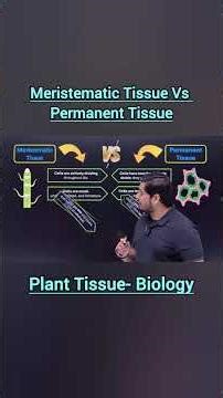 Meristematic vs Permanent Tissue | 5 Key Differences | Class 9 & NEET Biology