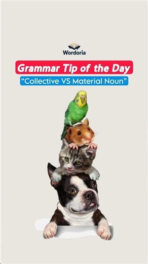Collective vs Material Noun 📚 | Grammar Made Simple #wordoria