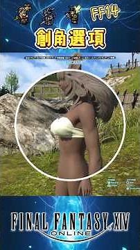 [FF14] Quick Guide to Character Creation Options! #ff14TraditionalChinese