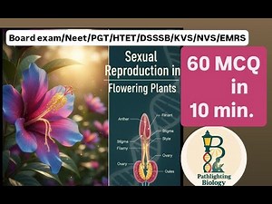 60 MCQs in 10 Minutes | Sexual Reproduction in Flowering Plants (Part2)