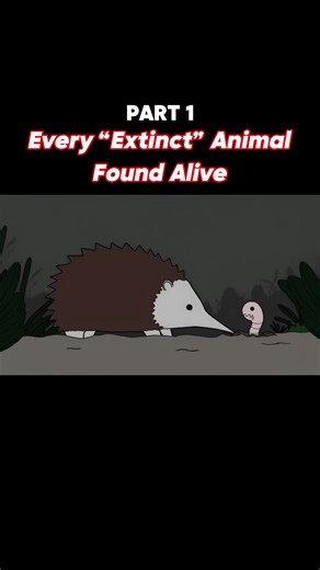 #extinctanimals #wildlifediscovery | extinct animals